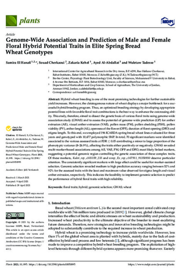 Genome-Wide Association and Prediction of Male and Female Floral Hybrid Potential Traits in Elite Spring Bread Wheat Genotypes