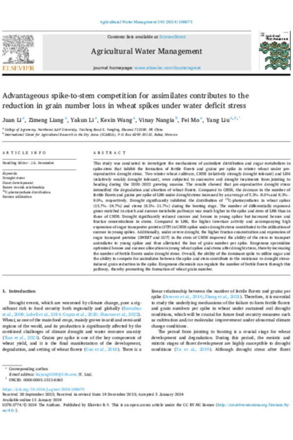 Advantageous spike-to-stem competition for assimilates contributes to the reduction in grain number loss in wheat spikes under water deficit stress