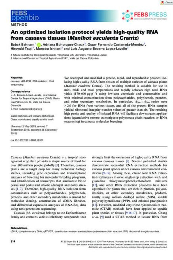 An optimized isolation protocol yields high-quality RNA from cassava tissues (Manihot esculenta Crantz)