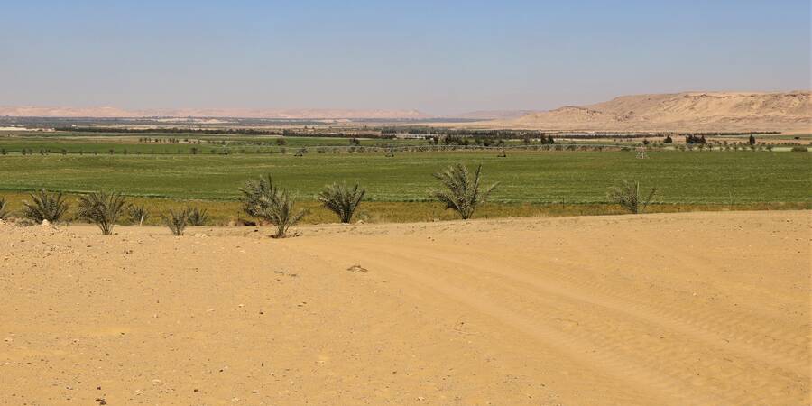 desert farming egypt desert farming egypt