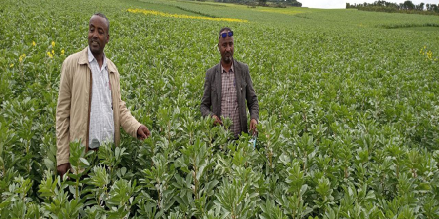 Field Visit