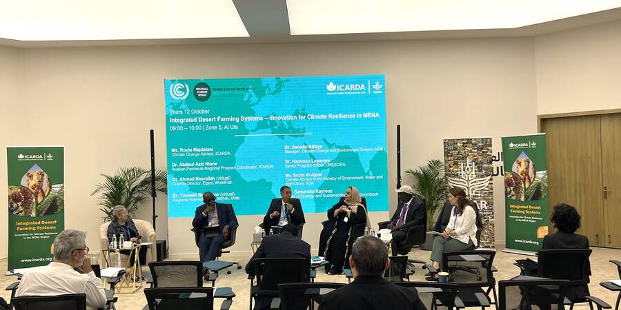 IDFS at MENA CW 2023