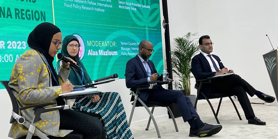 IFPRI Event at MENA CW 2023