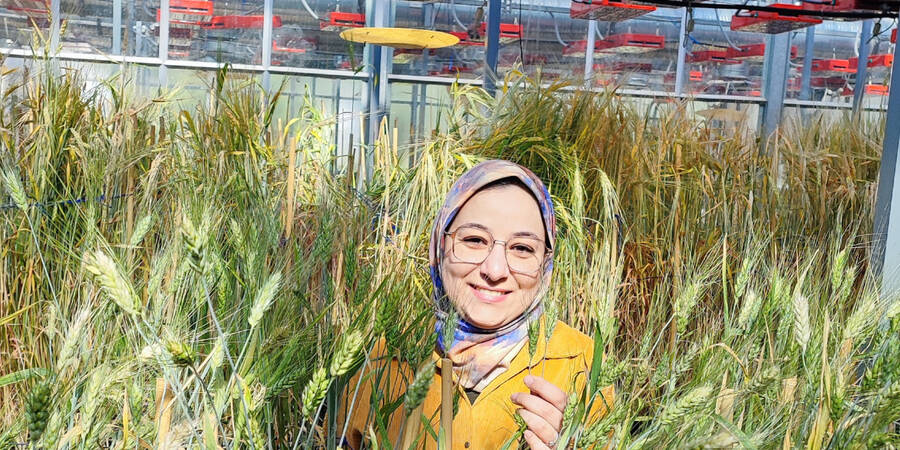 Dr. Hafssa Kabbaj