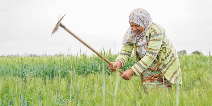 Rural Women workforce