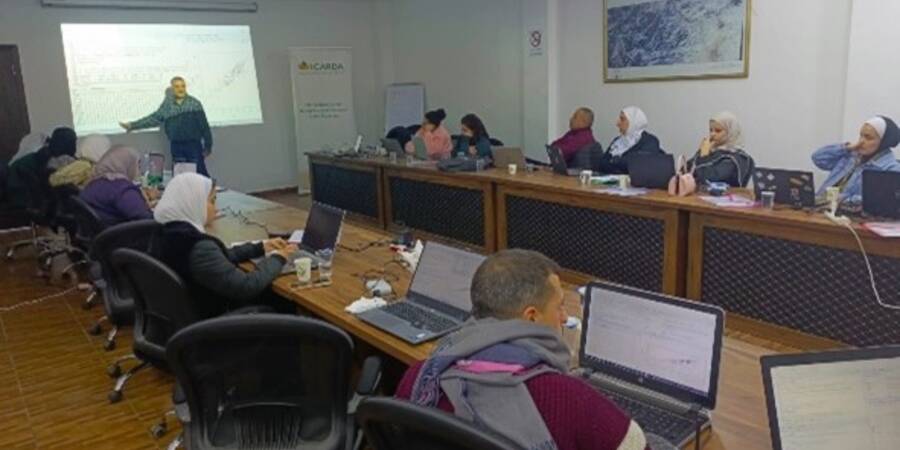 Participants Participants