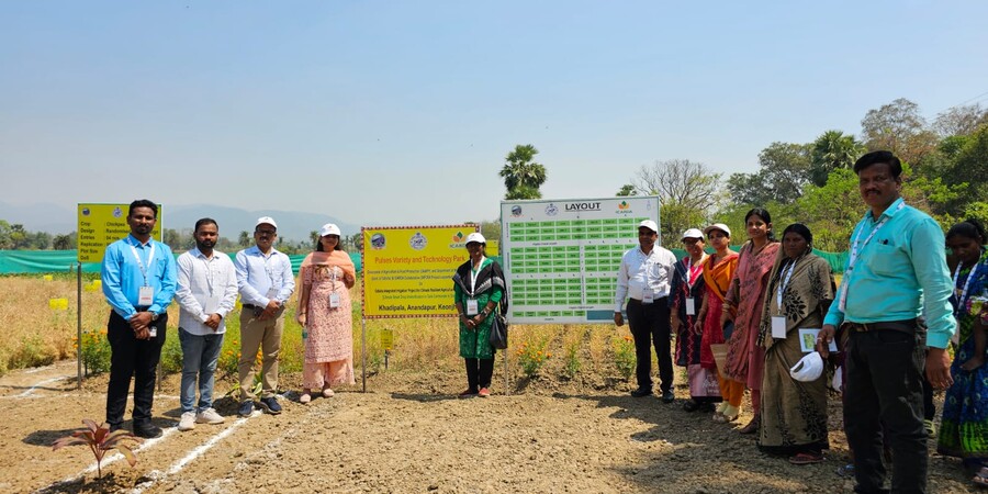 pulse_variety_and_technology_park_at_khadiapala_keonjhar_odisha_india.jpeg