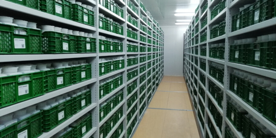 Genebanks Cold Chamber